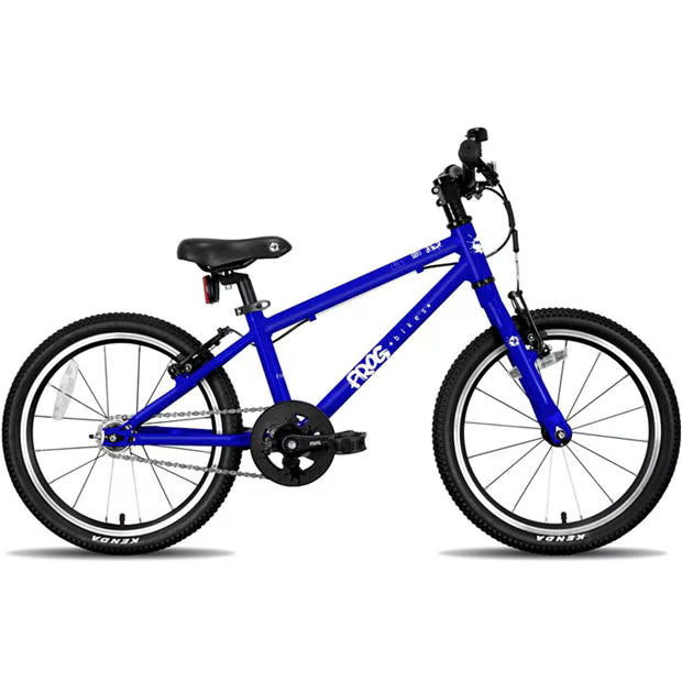 Frog 47 - Blue