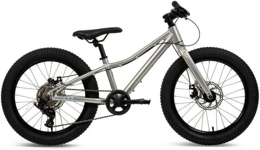 Batch 20" Mountain Bike